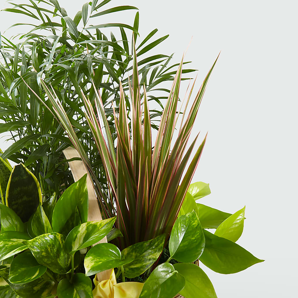 French Garden – Neilsen Florist, Seattle WA