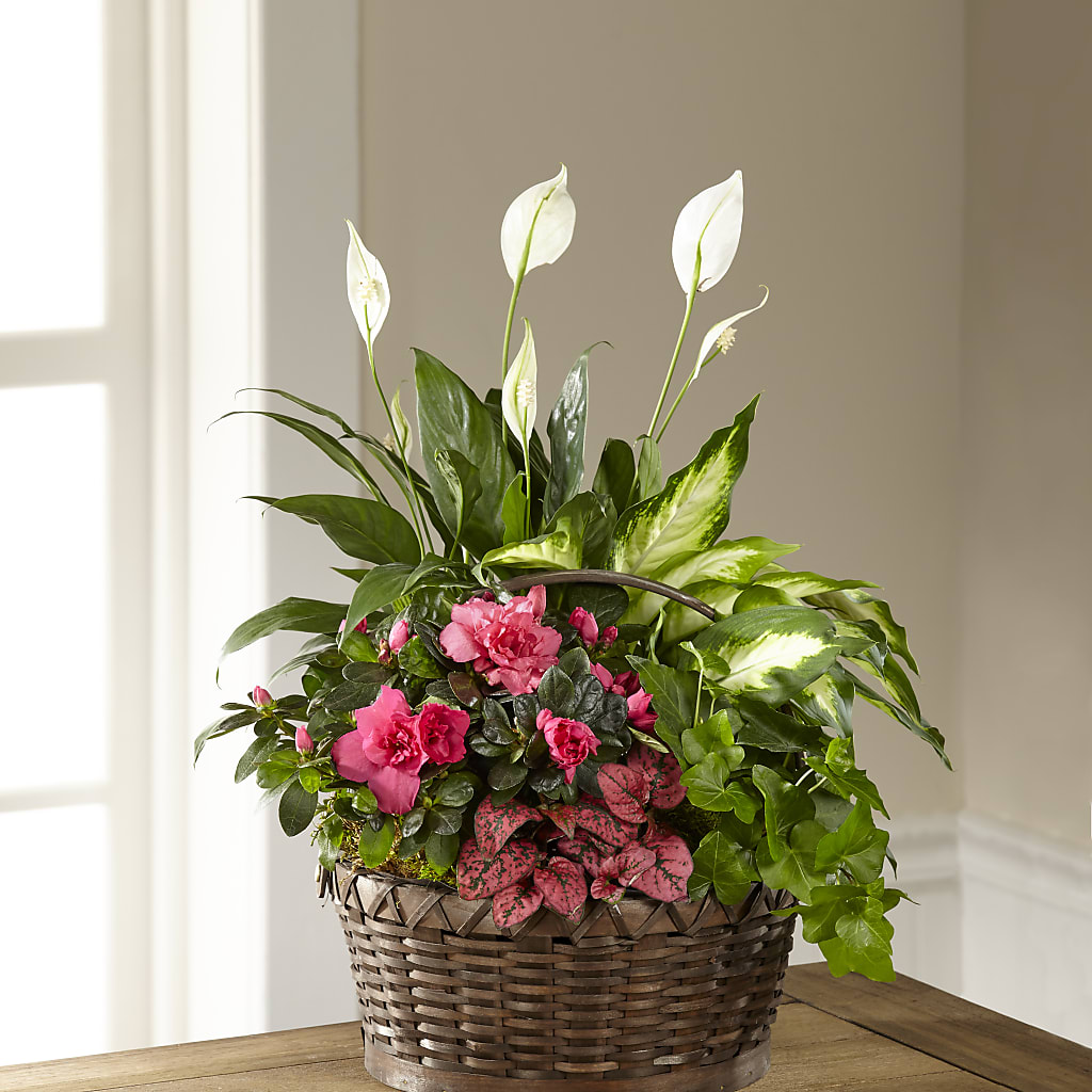 Dream in Pink Dishgarden – Neilsen Florist, Seattle WA