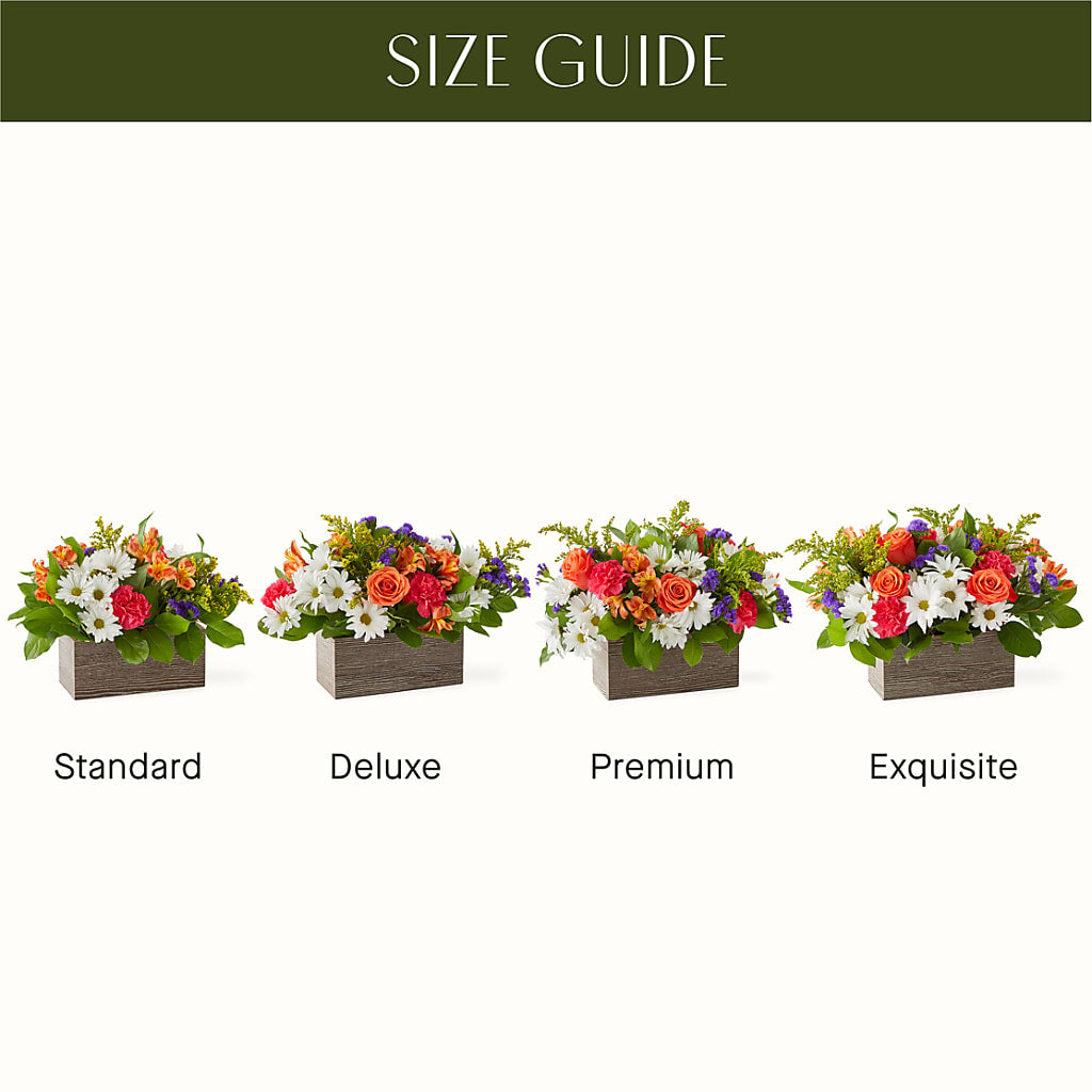 Oopsie Daisy Box Bouquet – Neilsen Florist, Seattle WA