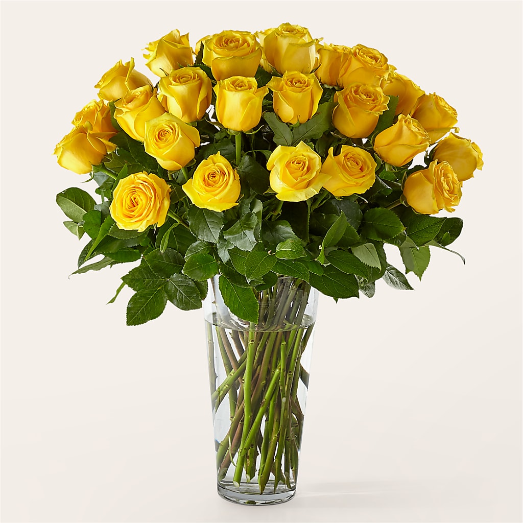 Long Stem Yellow Rose Bouquet – Neilsen Florist, Seattle WA