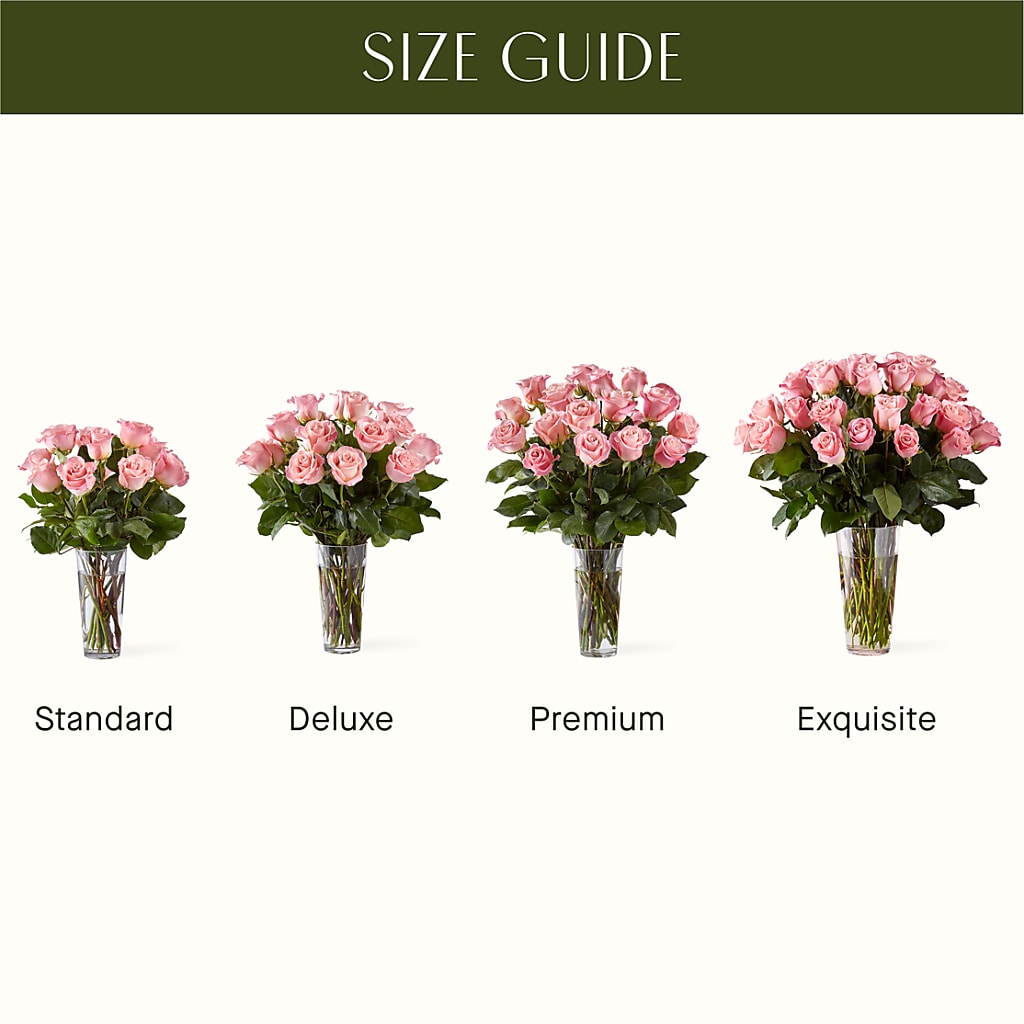 Long Stem Pink Rose Bouquet – Neilsen Florist, Seattle WA