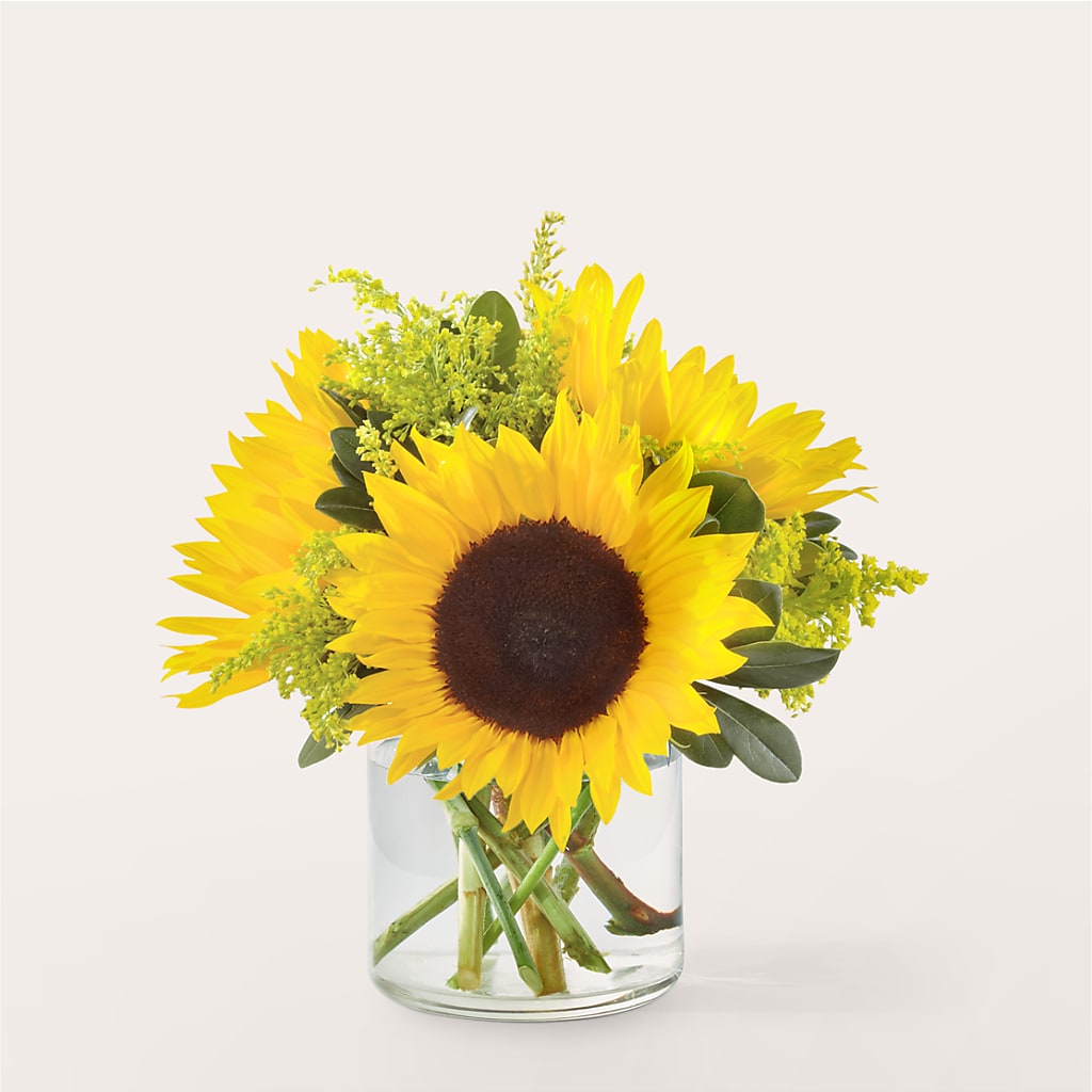 Beaming Sunflower Bouquet – Neilsen Florist, Seattle WA