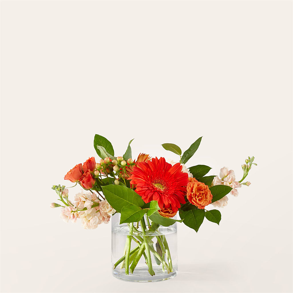 Paloma Please Bouquet – Neilsen Florist, Seattle WA