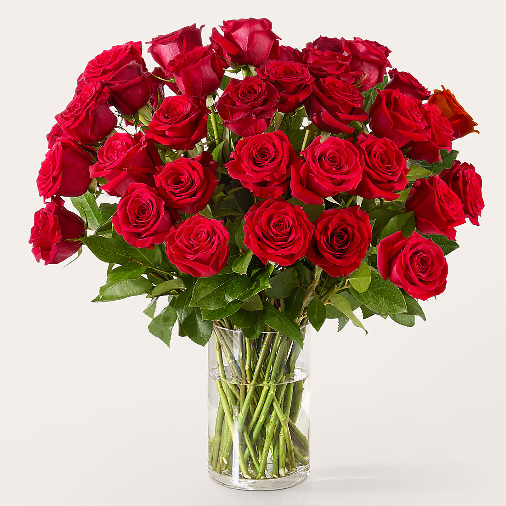 The One Red Rose Bouquet – Neilsen Florist, Seattle WA