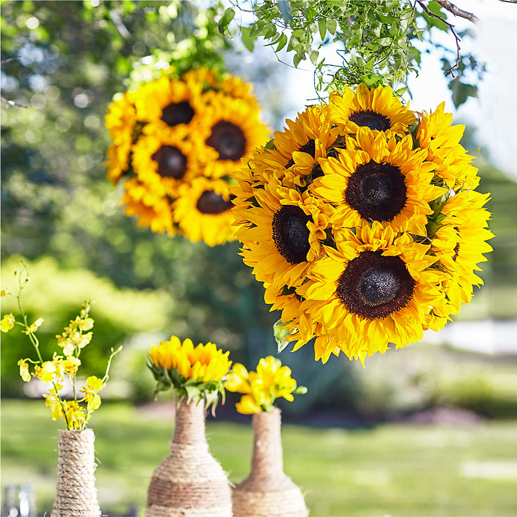 Sublime Garden Hanging Arrangement – Neilsen Florist, Seattle WA