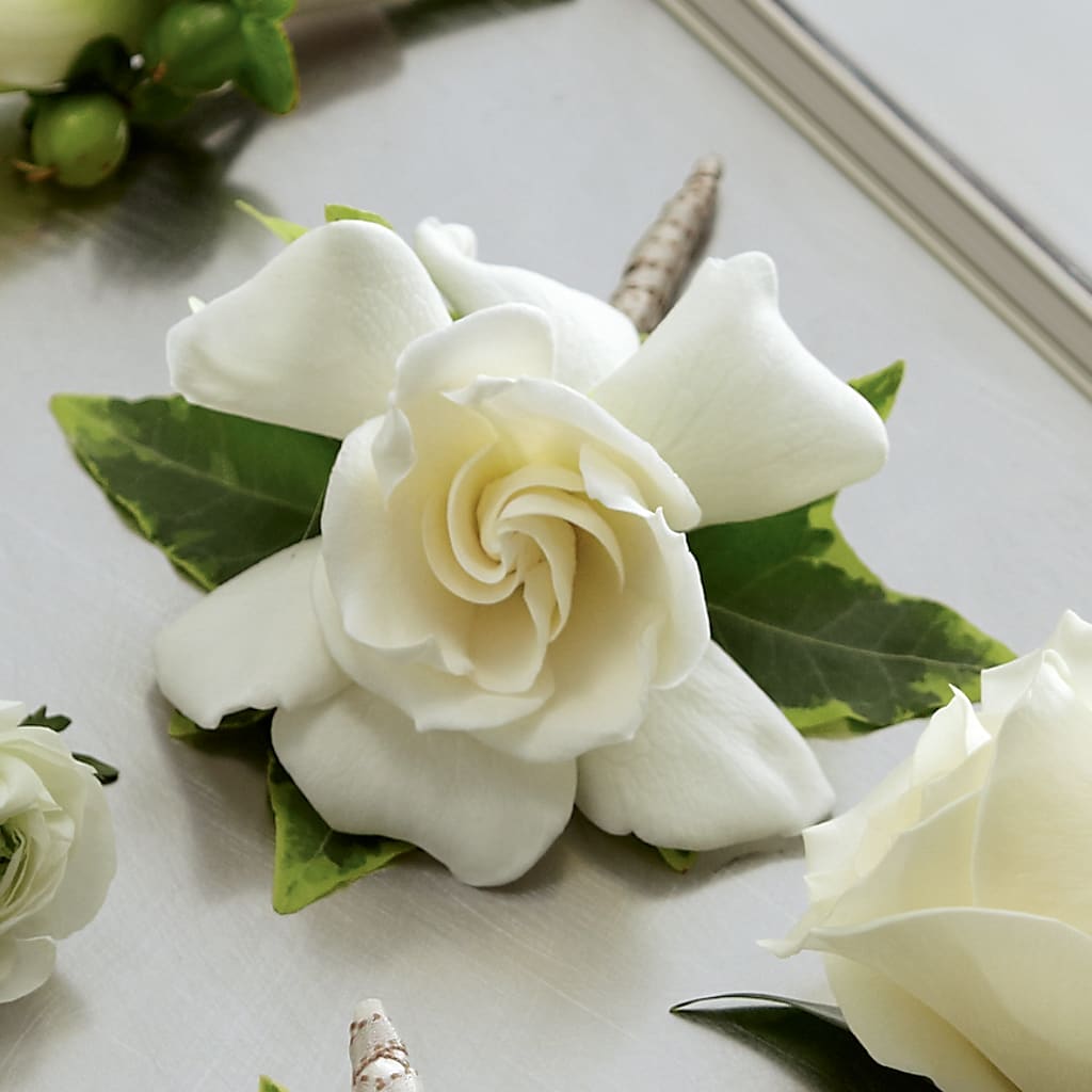 Gardenia Boutonniere – Neilsen Florist, Seattle WA