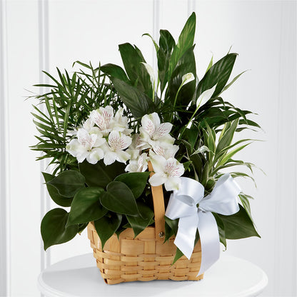 Peace & Serenity Dishgarden –  Neilsen Florist, Seattle WA