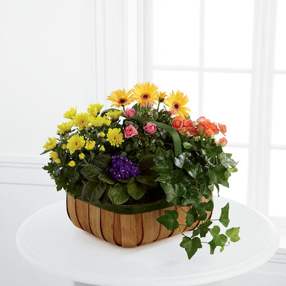 Gentle Blossoms Basket –  Neilsen Florist, Seattle WA