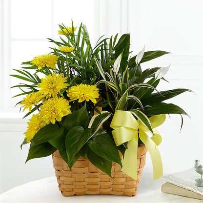 Loving Light Dishgarden –  Neilsen Florist, Seattle WA