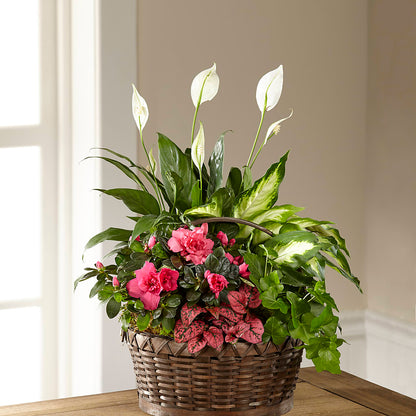 Dream in Pink Dishgarden –  Neilsen Florist, Seattle WA