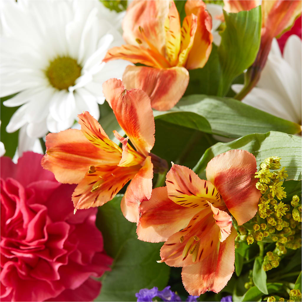 Oopsie Daisy Box Bouquet –  Neilsen Florist, Seattle WA