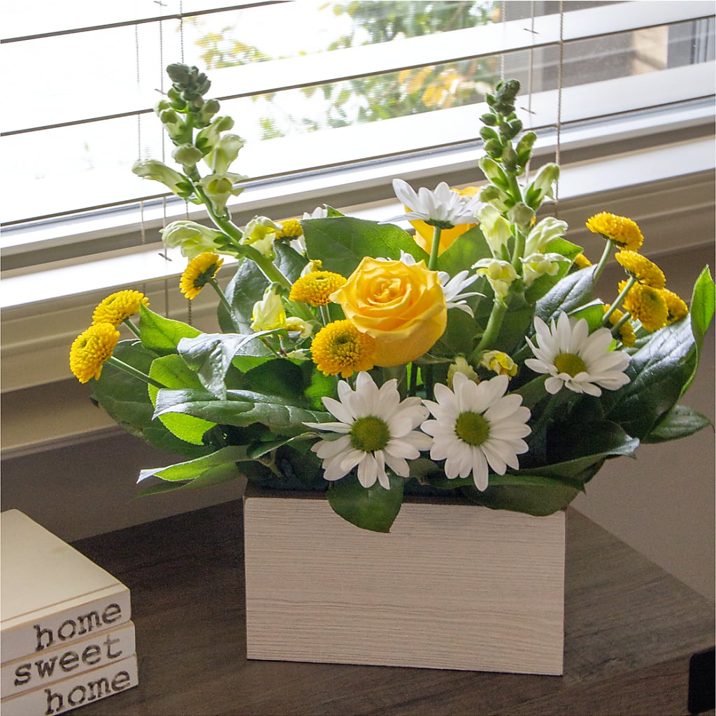 Sun Salutation Box Bouquet –  Neilsen Florist, Seattle WA