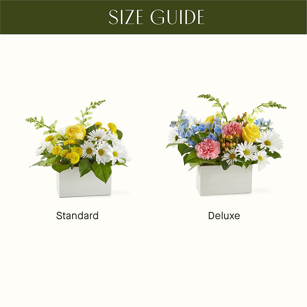 Sun Salutation Box Bouquet –  Neilsen Florist, Seattle WA
