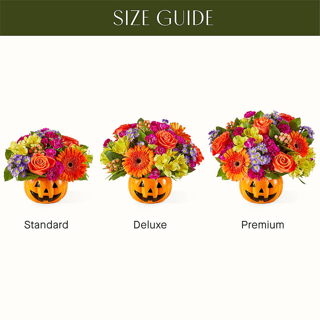 Tricks & Treats Pumpkin –  Neilsen Florist, Seattle WA
