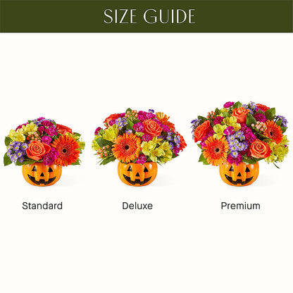 Tricks & Treats Pumpkin –  Neilsen Florist, Seattle WA