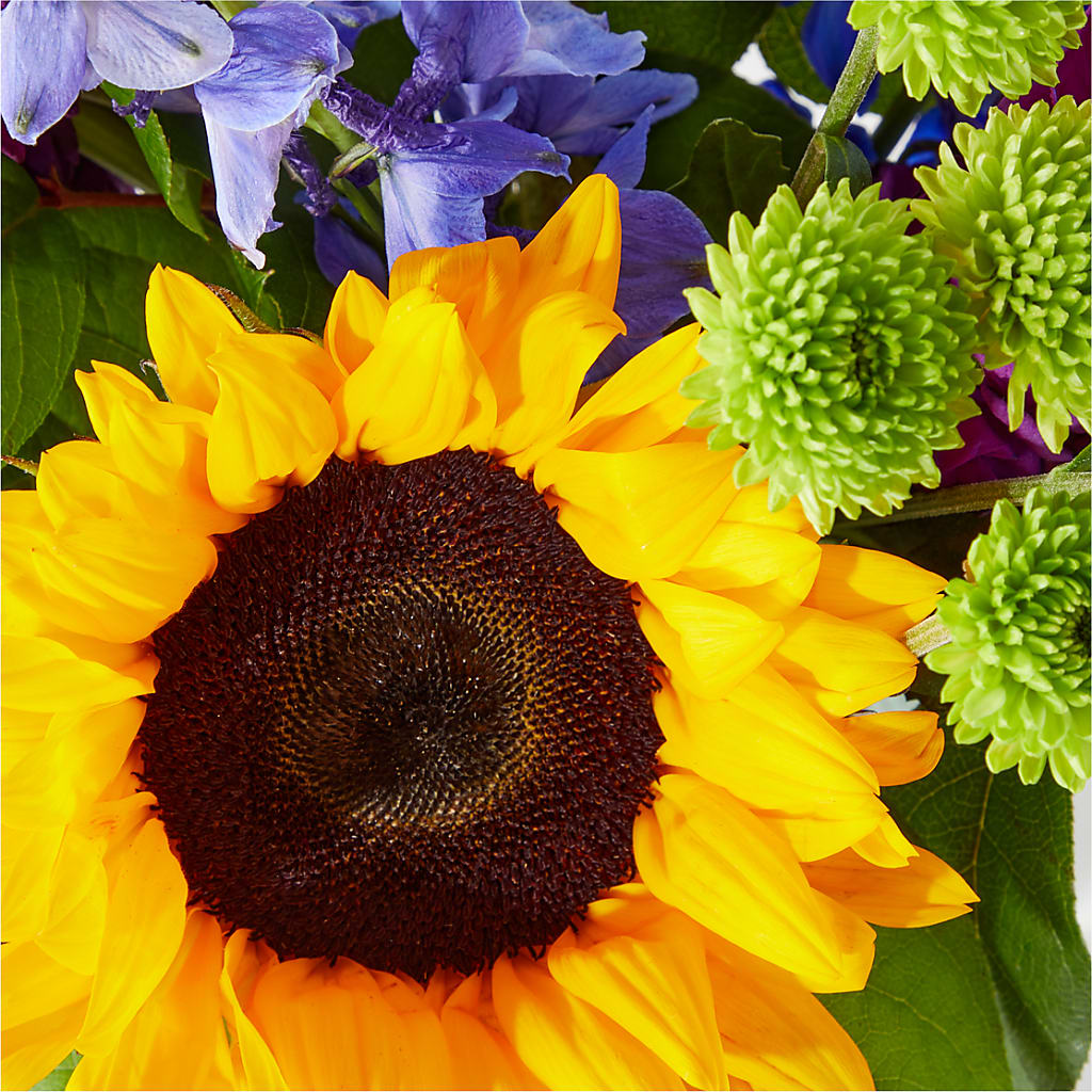 Catching Rays Bouquet –  Neilsen Florist, Seattle WA