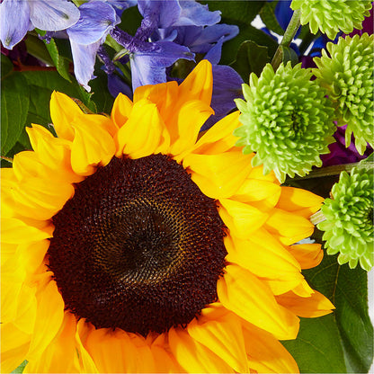 Catching Rays Bouquet –  Neilsen Florist, Seattle WA