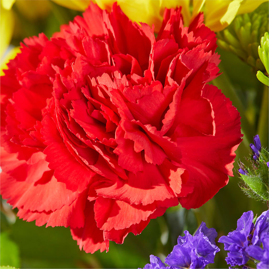 Brighter Days Bouquet –  Neilsen Florist, Seattle WA