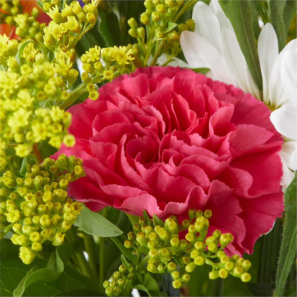 Oopsie Daisy Bouquet –  Neilsen Florist, Seattle WA