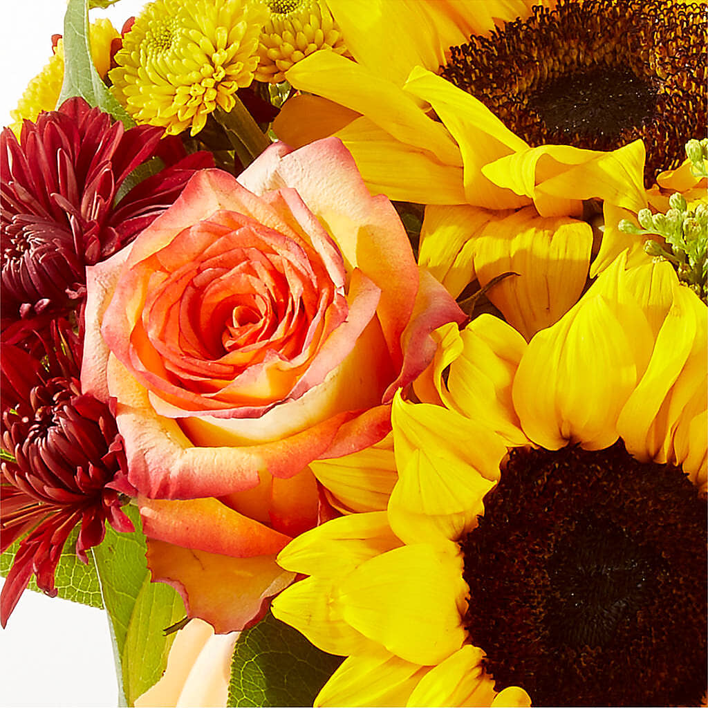 Golden Gourd Pumpkin Bouquet –  Neilsen Florist, Seattle WA