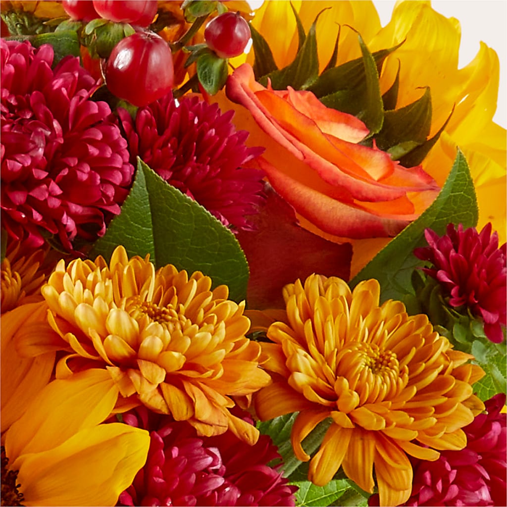 Sweater Season - A Florist Original –  Neilsen Florist, Seattle WA