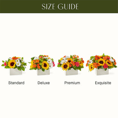 Sun-drenched Blooms Box Bouquet –  Neilsen Florist, Seattle WA