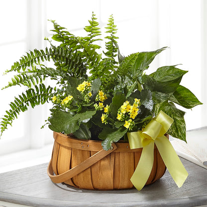 Always Dear Dishgarden –  Neilsen Florist, Seattle WA