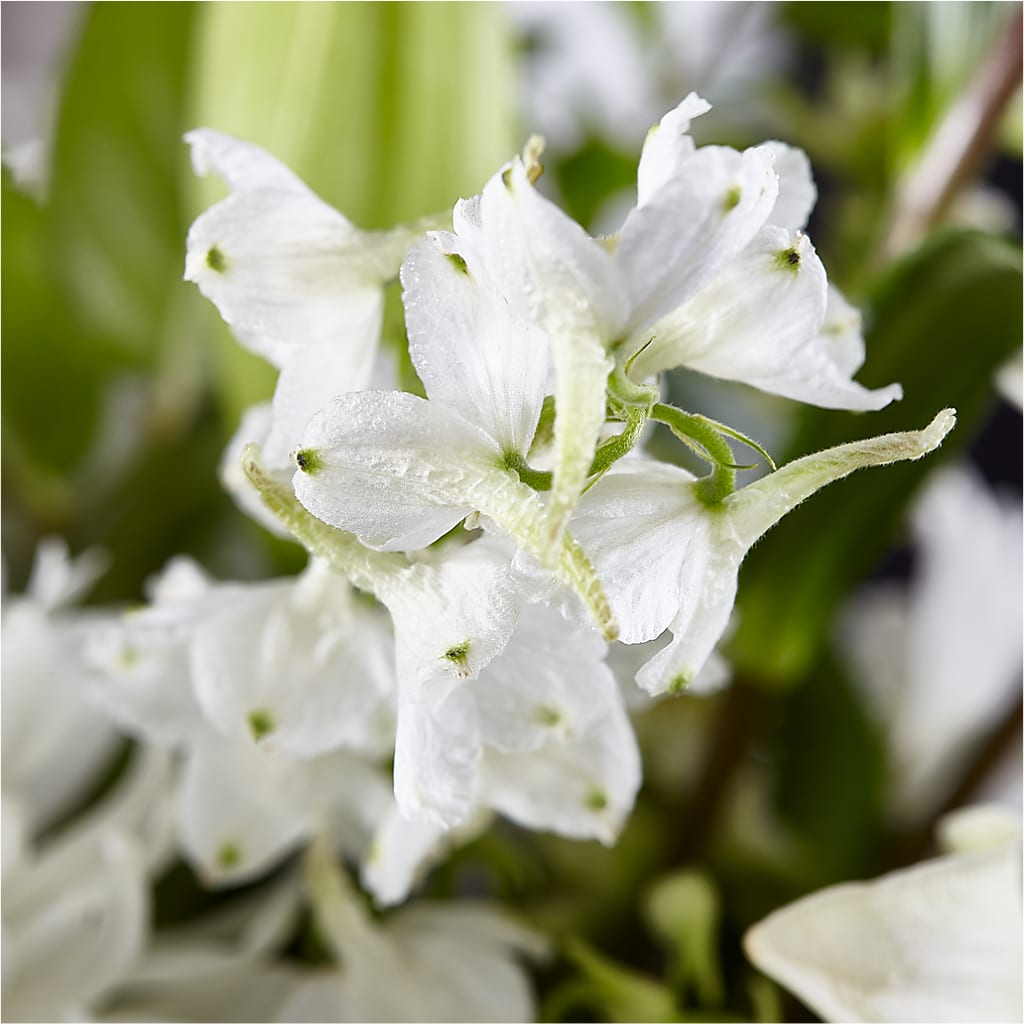 Classic Ivory – A Florist Original –  Neilsen Florist, Seattle WA