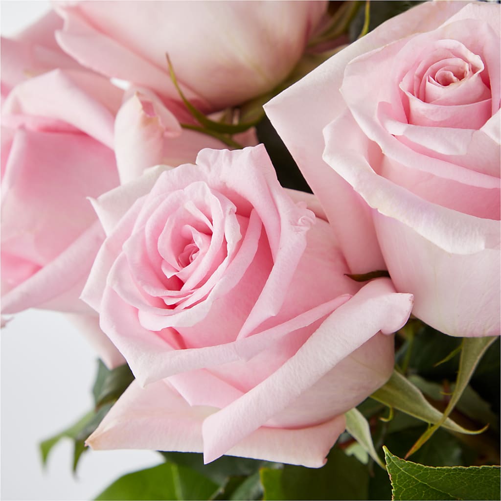Picture Perfect Pink Rose Bouquet –  Neilsen Florist, Seattle WA