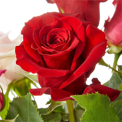 Love Notes Rose Bouquet –  Neilsen Florist, Seattle WA