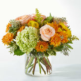 Neilsen Florist