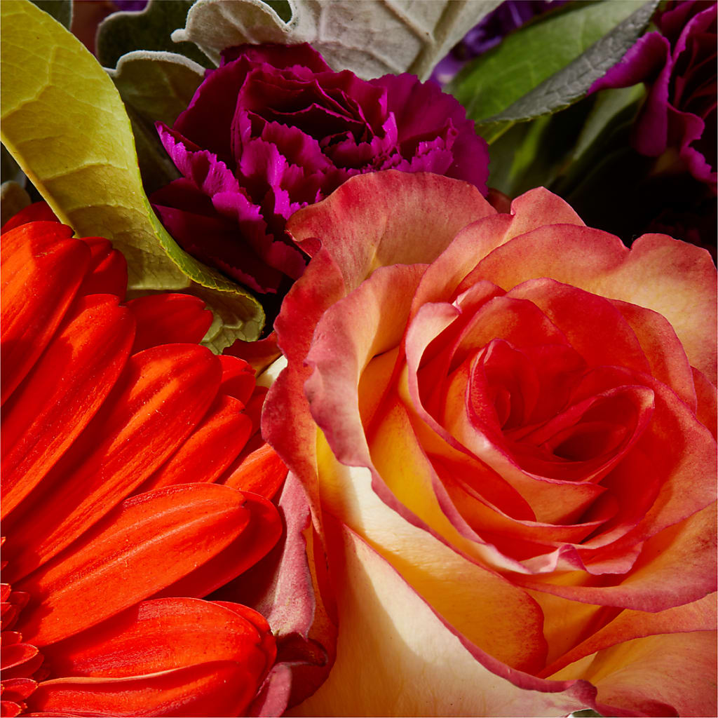 Sangria Bouquet –  Neilsen Florist, Seattle WA