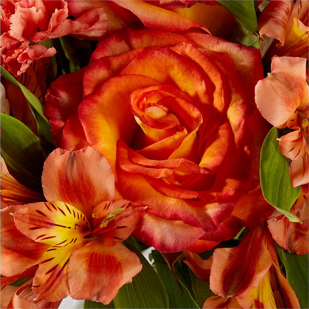 Apricot Glow Bouquet –  Neilsen Florist, Seattle WA