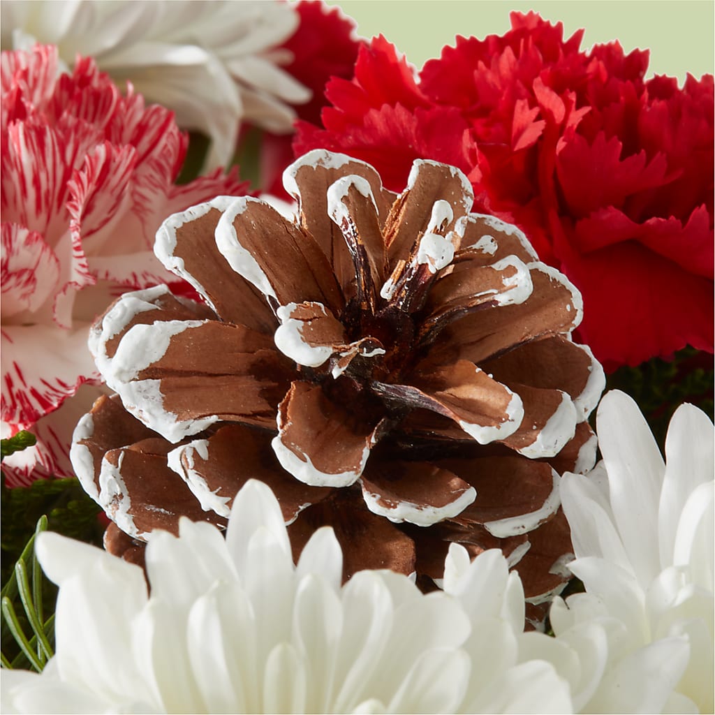 Candy Cane Lane Bouquet –  Neilsen Florist, Seattle WA