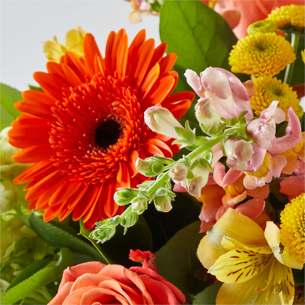 Autumn Sunshine Bouquet –  Neilsen Florist, Seattle WA