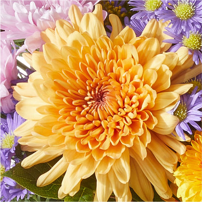 Countryside Bouquet –  Neilsen Florist, Seattle WA