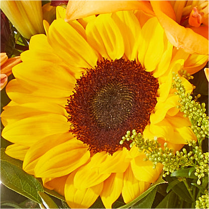 Seasons Change Bouquet –  Neilsen Florist, Seattle WA