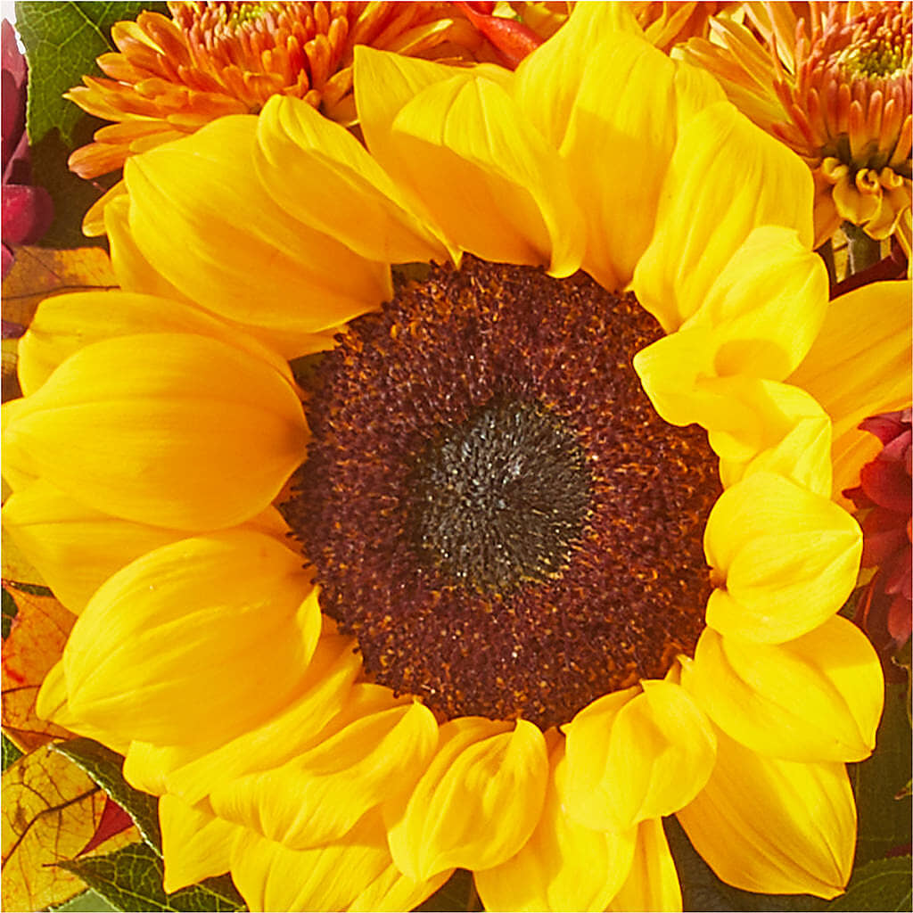 Sunny Side Bouquet –  Neilsen Florist, Seattle WA