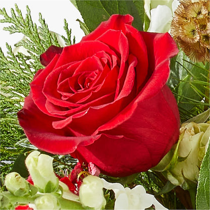 Deck the Halls Bouquet –  Neilsen Florist, Seattle WA