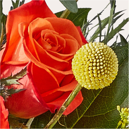 Disco Bouquet –  Neilsen Florist, Seattle WA